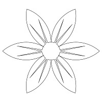 texas star flower